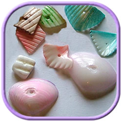 shell beads in various colors