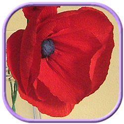 a red poppy made from crepe paper